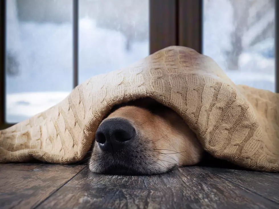 Polar Vortex this Weekend Potential Nor’easter Monday