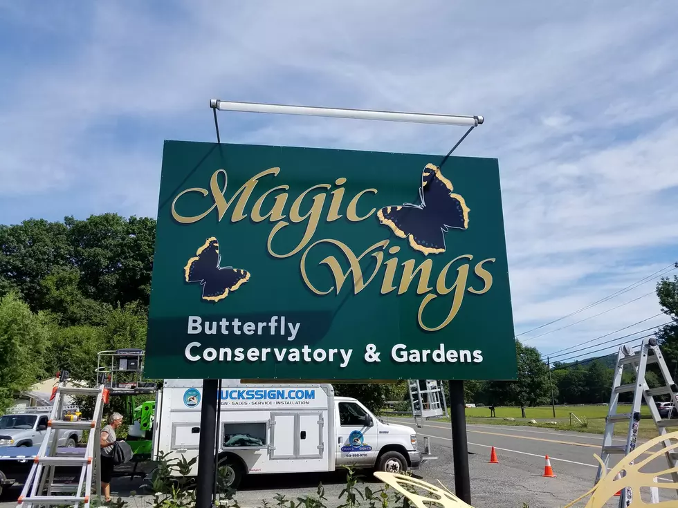 This Huge Western Massachusetts Butterfly Conservatory Is Super Fun For The Whole Family