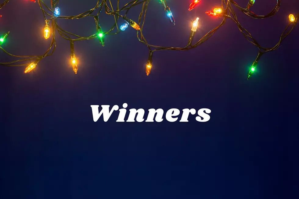 Light Up the Berkshires 2024 Winners