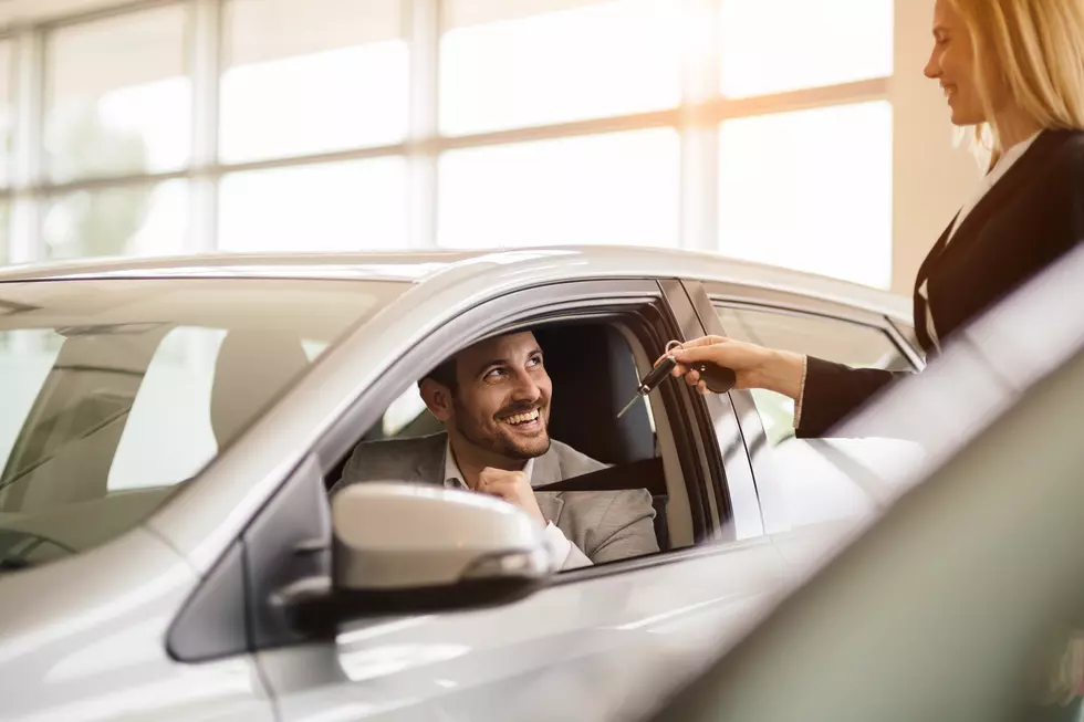 Elegant salesperson working at car dealership